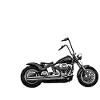 Biker For Life