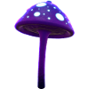 Magic Purple Mushroom