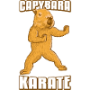 Capybara Karate