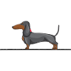 Dachshund Dachshund Hunting Dog Teckel