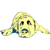 Labrador