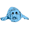 Labrador