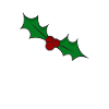 Fleur de Noël