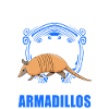Armadillo Gift Armadillo