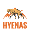 Hyena Gift Aardwolf Hyena