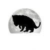 Opossum Moon Possum Marsupial