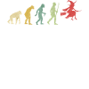 Halloween Witch Flying Broom Evolution