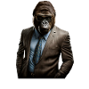 Mr gorilla