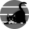 Katze