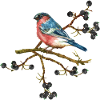 Bunter Vogel