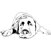 Labrador
