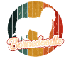 Bernedoodle Dog