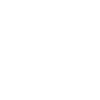 Skien