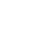 Ski