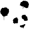 Panda Gesicht