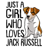 Jack Russell Terrier