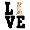Labrador
