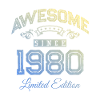 1980 awesome since