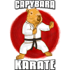 Capybara Karate Gi