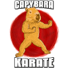 Capybara Karate Fighters