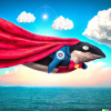 Super-Whale in the Sky