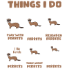 Ferret