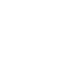 Ferret