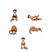 Ferret