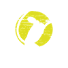 Born to play tennis