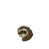 Ferret