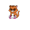 Ferret
