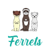 Ferret