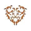 Ferret