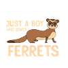 Ferret