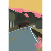 Elk Scandinavia