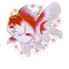 Poisson rouge japonais Ranchu