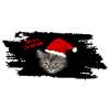 Meowy Christmas