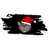 Meowy Christmas