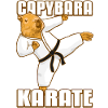 Capybara Karate Gi