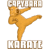 Capybara Karate Kick