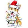 CORGI LIGHT
