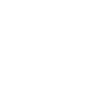 Sprinter
