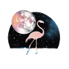 Flamingo Universe Galaxy Moon Geschenkide