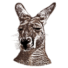 Kangaroo Head