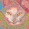 BAKENEKO des prairies