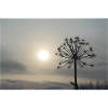 Sonnenuntergang in Island