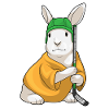 Rabbit Ice Hockey Sticks