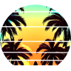 Sunset under palm trees