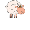 Sheep make me happy