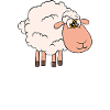 I saw a sheep